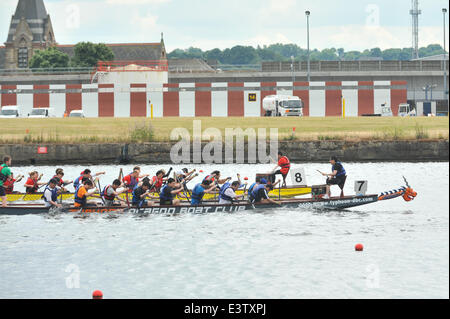 London Regatta Centre e Royal Docks, Londra, Regno Unito. Il 29 giugno 2014. Barche racing al Dragon Boat Festival. Credito: Matteo Chattle/Alamy Live News Foto Stock