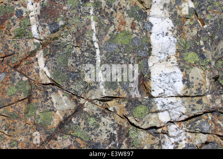 Vene di quarzo in esecuzione attraverso la riolite Foto Stock