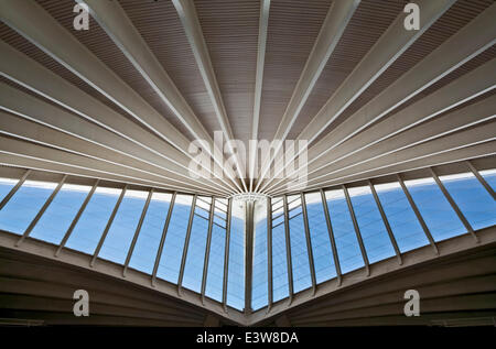 Aeroporto di Sondika, Bilbao, Bilbao, Spagna. L'Architetto Santiago Calatrava, 2000. Foto Stock