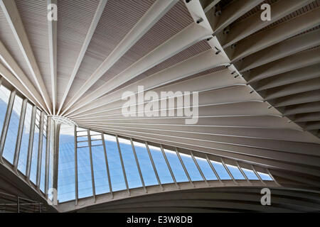 Aeroporto di Sondika, Bilbao, Bilbao, Spagna. L'Architetto Santiago Calatrava, 2000. Foto Stock