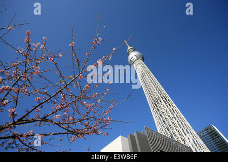 Tokyo Sky Tree Foto Stock