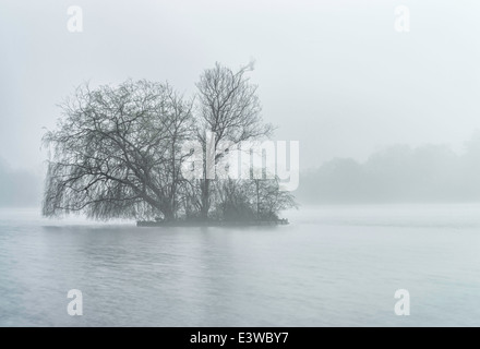 La mattina presto misty heath lago in Petersfield, Hampshire, Regno Unito Foto Stock