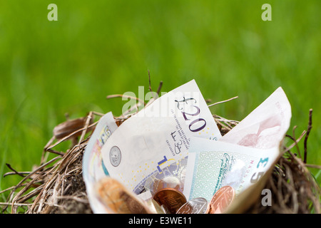 Nido riempito con British denaro. Questo nido è stato un nido abbandonato trovato in una siepe che era stato rimosso. Foto Stock