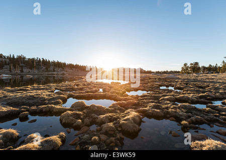 Alpine bog sunrise al Cirque lago nella Foresta Nazionale di Inyo vicino a Lone Pine, California Foto Stock