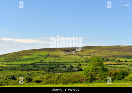 Campagna del Galles e campi, Carmarthenshire, Wales, Regno Unito Foto Stock