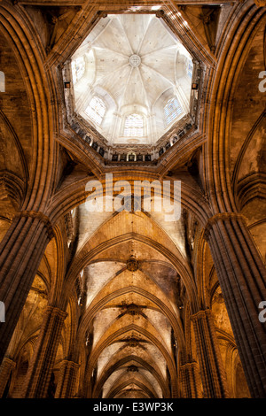 Interno della cattedrale di Barcellona (Cattedrale di Santa Croce e di Santa Eulalia), gotico soffitto a volta con cupola in Spagna. Foto Stock