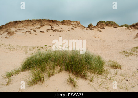 Freshwater West Beach - Pembrokeshire, Wales, Regno Unito Foto Stock