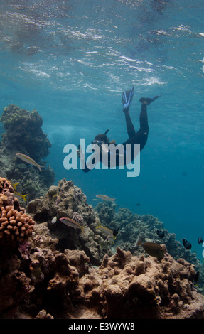 Uno sguardo dettagliato sulle barriere coralline di French Frigate Shoals, parte delle isole Hawaii nordoccidentali all'interno del Monumento Nazionale Marino di Papahānaumokuākea. Le barriere coralline, ricche di biodiversità marina, sono essenziali per la conservazione degli oceani e per la salute degli ecosistemi. Foto Stock