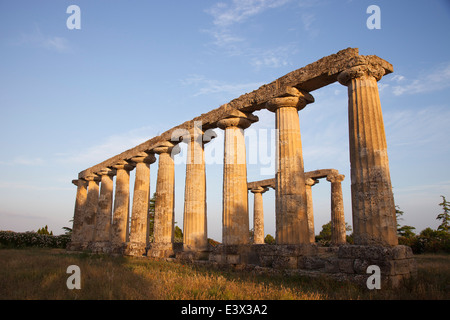 Tempio dorico, santuario di Hera, sito archeologico di Metaponto, Bernalda, provincia di Matera, Basilicata, Italia, Europa Foto Stock