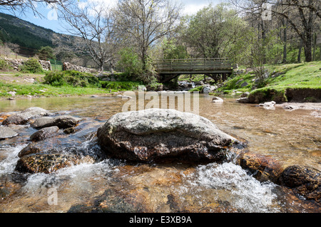 Piccolo ruscello nella valle del Lozoya, Rascafria, Madrid, Spagna Foto Stock