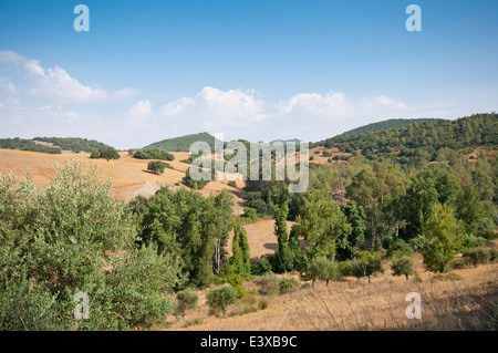 Viste della campagna andalusa da El Bosque town, Cadiz, Spagna Foto Stock