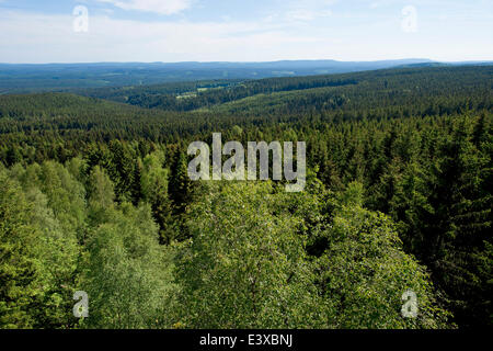 Vista da Trudestein rock formazione attraverso l'Harz mountain range, Parco Nazionale di Harz, Sassonia-Anhalt, Germania Foto Stock