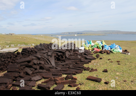 Pile di torba di essiccazione al sole yell Shetland Scozia giugno 2014 Foto Stock