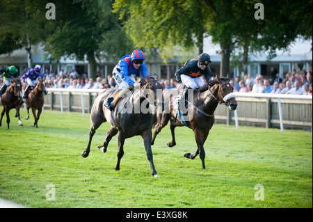 Baynuhah vince la 32Red Casino picchetti di handicap per Newmarket trainer James Fanshawe cavalcato da Tom Queally. Foto Stock