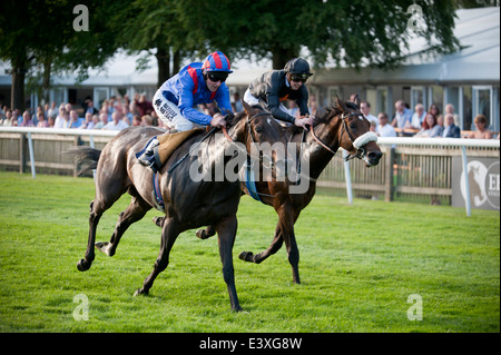 Baynuhah vince la 32Red Casino picchetti di handicap per Newmarket trainer James Fanshawe cavalcato da Tom Queally. Foto Stock