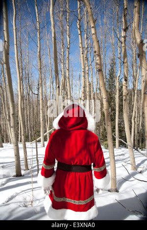 Santa Claus passeggiate nel bosco innevato Foto Stock