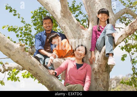 Family Tree Climbing insieme Foto Stock