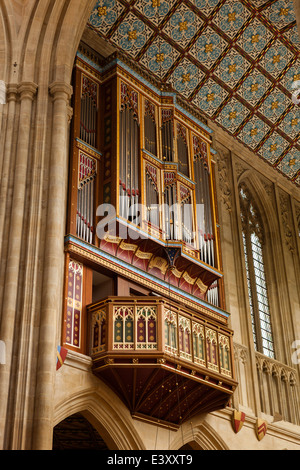 Regno Unito Inghilterra, Suffolk, Bury St Edmunds, Cattedrale, ricostruito recentemente organ Foto Stock