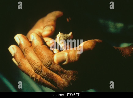 Il miglio verde 1999 Castle Rock film con Michael Clarke Duncan tenendo un mouse Foto Stock