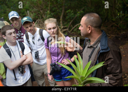 Ecotourists adolescente su una foresta pluviale ecologia a piedi, Poas Parco Nat, Costa Rica. Un naturalista locale insegna loro circa bromeliacee Foto Stock