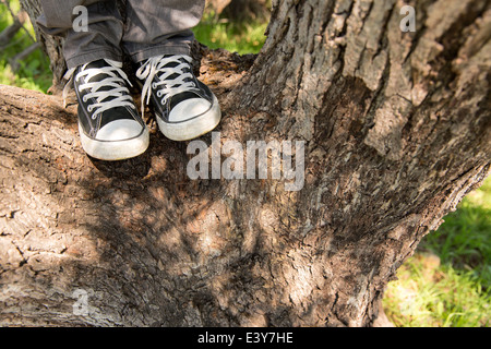 Gambe e piedi di giovane uomo in piedi su albero Foto Stock