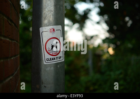 La lettiera e cane bidone dei rifiuti lampione Foto Stock