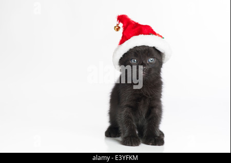 Un gattino nero con gli occhi blu che indossa un cappello da Babbo Natale Foto Stock