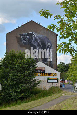 Il Maryhill Panther. Graffiti su un frontone sulla strada Maryhill in Glasgow Foto Stock