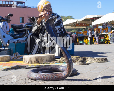 Il Marocco, Marrakech, Snake incantatore sulla piazza Djemma al Fna Foto Stock