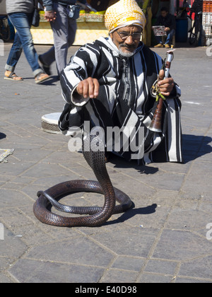 Il Marocco, Marrakech, Snake incantatore sulla piazza Djemma al Fna Foto Stock