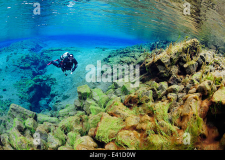 Scuba diving in Silfra Crack con laguna, isola Silfra, thingvellir Nationalpark, Islanda Foto Stock