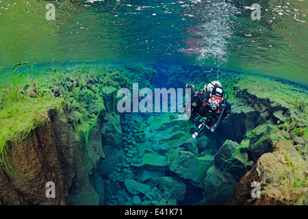 Silfra, Silfra - la fessura d'acqua dolce tra i continenti, Silfra, thingvellir Nationalpark, Islanda Foto Stock