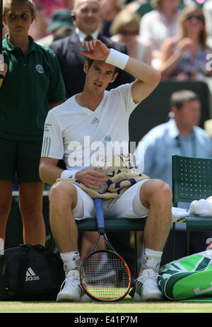 Londra, Regno Unito. 2 Luglio, 2014. La Gran Bretagna di Andy Murray reagisce durante gli Uomini Singoli Quarti di finale contro la Bulgaria Grigor Dimitrov al 2014 campionati di Wimbledon a Wimbledon, a sud-ovest di Londra, il 1 luglio 2014. Murray ha perso 0-3. Credito: Xinhua/Alamy Live News Foto Stock