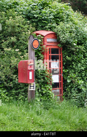 Un vecchio telefono rosso chiosco in Herefordshire, UK, quasi perso nella siepe ricoperta con un Royal Mail postbox Foto Stock