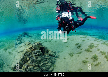 Scuba divier in Nesgja, piccola fessura nel nord dell'Islanda, Nesgja Laguna, Akureyri, Nord Islanda Foto Stock