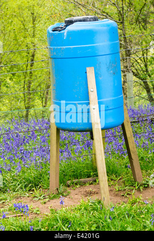 Un alimentatore di Fagiano di Kirkoswold nell'Eden Valley, Cumbria, Foto Stock