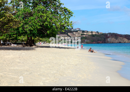 Vista sud sulla Grand Anse spiaggia verso il punto di quarantena, St George, Grenada, West Indies Foto Stock