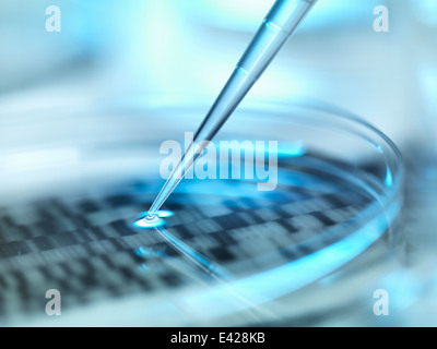 DNA (acido desossiribonucleico) autoradiogramma in una capsula di petri Foto Stock