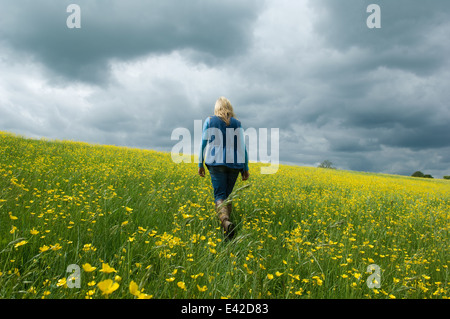 Donna che cammina nel campo di renoncules Foto Stock