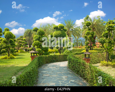 Bonsai naturale giardino con alberi rigogliosi parchi verdi. Foto Stock