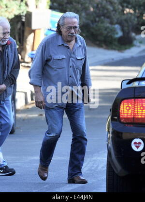 Attore Edward James Olmos spotted house caccia accanto all'attrice Anne Hathaway's house di Hollywood Hills ca. Dotato di: Edward James Olmos dove: Hollywood, California, Stati Uniti quando: 29 Gen 2014 Foto Stock