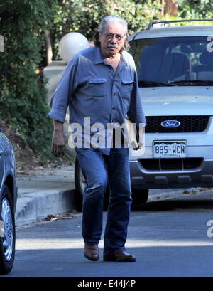 Attore Edward James Olmos spotted house caccia accanto all'attrice Anne Hathaway's house di Hollywood Hills ca. Dotato di: Edward James Olmos dove: Hollywood, California, Stati Uniti quando: 29 Gen 2014 Foto Stock