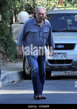 Attore Edward James Olmos spotted house caccia accanto all'attrice Anne Hathaway's house di Hollywood Hills ca. Dotato di: Edward James Olmos dove: Hollywood, California, Stati Uniti quando: 29 Gen 2014 Foto Stock