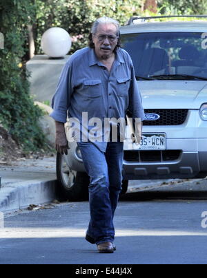 Attore Edward James Olmos spotted house caccia accanto all'attrice Anne Hathaway's house di Hollywood Hills ca. Dotato di: Edward James Olmos dove: Hollywood, California, Stati Uniti quando: 29 Gen 2014 Foto Stock