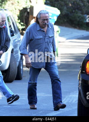 Attore Edward James Olmos spotted house caccia accanto all'attrice Anne Hathaway's house di Hollywood Hills ca. Dotato di: Edward James Olmos dove: Hollywood, California, Stati Uniti quando: 29 Gen 2014 Foto Stock