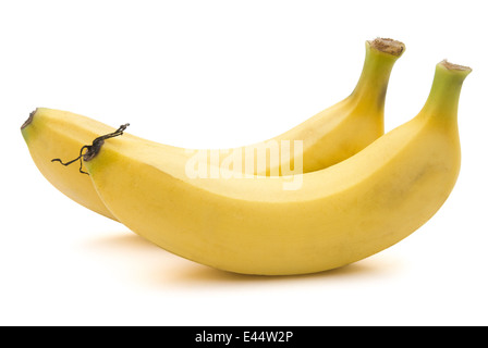 Due banane isolato su bianco con tracciato di ritaglio Foto Stock