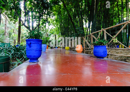 La famosa attrazione turistica, Les Jardins Majorelle, Marrakech, Marocco, che contengono molte specie di cactus. Foto Stock