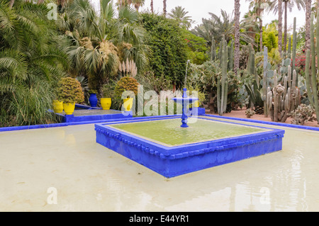 La famosa attrazione turistica, Les Jardins Majorelle, Marrakech, Marocco, che contengono molte specie di cactus. Foto Stock