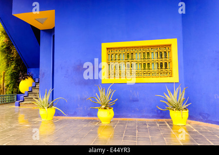 La famosa attrazione turistica, Les Jardins Majorelle, Marrakech, Marocco, che contengono molte specie di cactus. Foto Stock