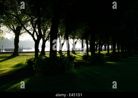 La mattina presto estate sole che splende attraverso gli alberi a Wandsworth Park, Putney, London, Regno Unito Foto Stock